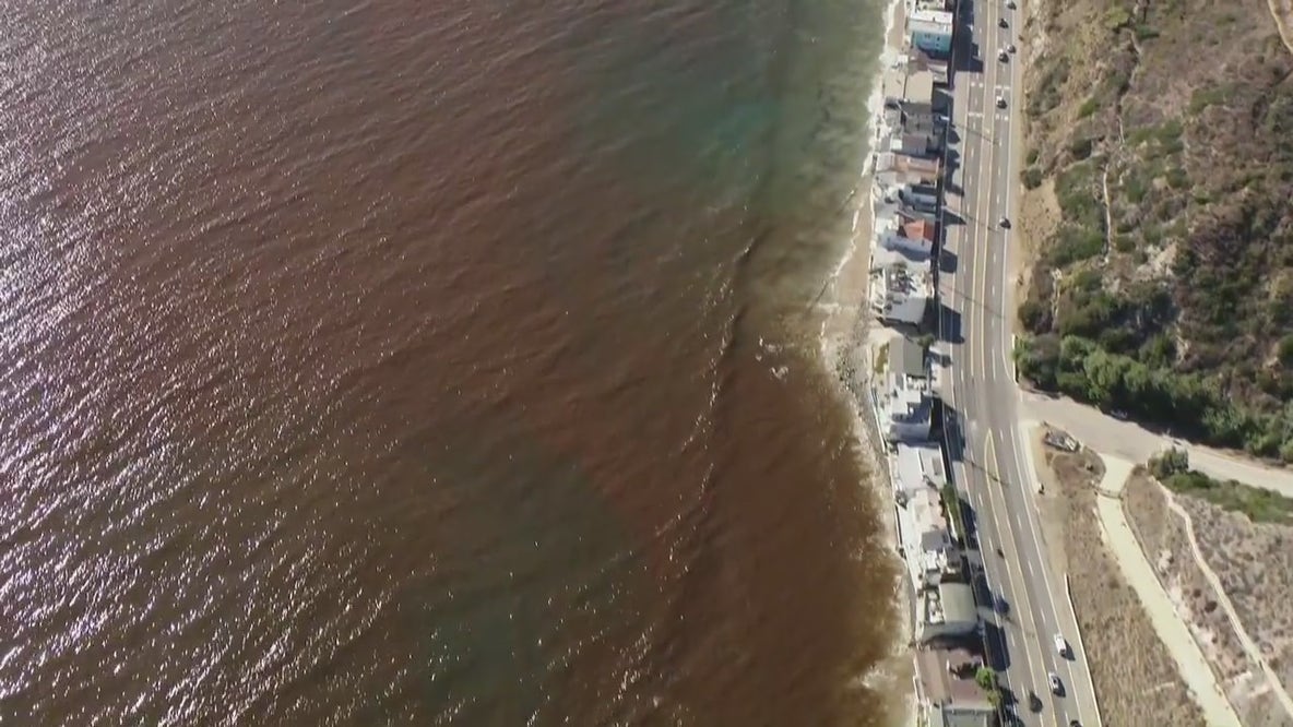 Red algae bloom on SoCal coast